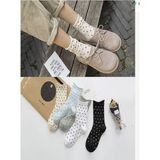 Kadın Renkli Puantiye Desenli Ultra Soft Lastikli Şeker Çorap Seti - 5 Çift - Karışık - Standart