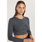 Kadın Slim Fit Dar Kesim Uzun Kollu Bisiklet Yaka Antrasit Hırka