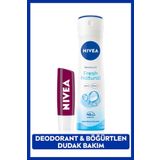 Kadın Sprey Deodorant Fresh Natural 150ml 48 Saat Koruma ve Nemlendirici Böğürtlen Dudak Bakım Kremi