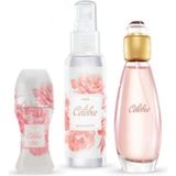 Kadınlar İçin Avon Celebre 100 ml Meyveli Koku Parfüm Seti EDT Hediye Seçeneği