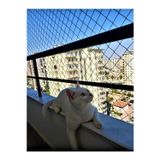 Kadir Tarım 2 X 20 Metre Kedi Koruma Filesi Balkon Filesi 2 Mm Kedi Güvenlik Filesi Bebek Güvenlk Filesi