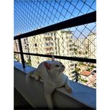 Kadir Tarım 3 x 23 Metre Kedi Koruma Filesi Balkon Filesi 2 mm Kedi Güvenlik Filesi Bebek Güvenlk Filesi