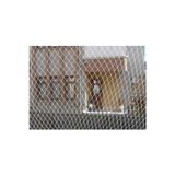 Kadir Tarım Kedi Filesi 2,50 X 1 Metre Kedi Koruma Filesi Balkon Filesi Balkon Ağı 1 Milim Kedi Filesi