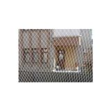Kadir Tarım Kedi Filesi 2,50 X 7 Metre Kedi Koruma Filesi Balkon Filesi Balkon Ağı 1 Milim Kedi Filesi