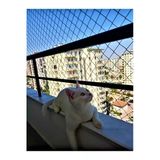 Kadirtarım 3 X 6 Metre Kedi Koruma Filesi Balkon Filesi 2 Mm Kedi Güvenlik Filesi Bebek Güvenlk Filesi