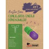 Kafadengi 2025 Ayt Baştan Sona Canlılarda Enerji Dönüşümleri