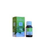 Kafur Yağı 30 ml Sera Natura