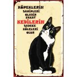 Kağıt Duvar Posteri Kedilerin Sadece Köleleri Olur Retro DRTR0033