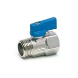 Kaia Life Mini Vana Erkek Dişi 1/8x1/8