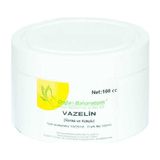 Kaia Life Vazelin Renkli ve Kokulu 100 ml