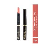 Kajal Uzun Süre Kalıcı Ruj & Long Lasting Lipstick NO:604