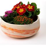 Kaju Creative Dekoratif Beton Kase Saksı Mermer Desenli 21,5 x 9,5 3L /14X6.5 1.5L (Desenler değişiklik gösterir.)