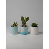 Kaju Creative Dekoratif Beton Saksı-3'lü Mini Sukulent Kaktüs ve Sukulent Bitkileri için 7x7cm Beton Renkli Saksı