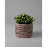 Kaju Creative Dekoratif Beton Saksı -Aztec 7,5x10 0.25L Küçük Boy Saksı