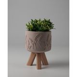 Kaju Creative Dekoratif Beton Saksı -Buğday 7,5x12 0.25L Küçük Ahşap Ayaklı Saksı