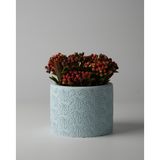 Kaju Creative Dekoratif Beton Saksı - Karo Çizgi 8x10 0.25L Küçük Boy Saksı
