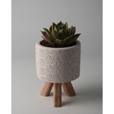 Kaju Creative Dekoratif Beton Saksı - Karo Çizgi - Ahşap Ayaklı