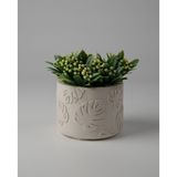 Kaju Creative Dekoratif Beton Saksı -Monstera 7,5x10 0.25L Küçük Boy Saksı