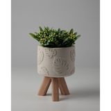 Kaju Creative Dekoratif Beton Saksı -Monstera 7,5x12 0.25L Küçük Ahşap Ayaklı Saksı