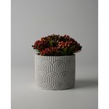 Kaju Creative Dekoratif Beton Saksı - WAVY 7x9 0.25L Küçük Boy Saksı