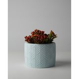 Kaju Creative Dekoratif Beton Saksı - Yaprak Desenli 8x10 0.25L Küçük Boy Saksı