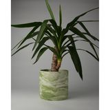 Kaju Creative Dekoratif Büyük Boy Beton Saksı - Mermer Desenli- Silindir 4.5l - 20X18 cm