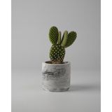 Kaju Creative Mini Sukulent Saksısı – Dekoratif Beton Saksı – – 7x7 cm | 3'lü Set ve Tekli - 1 Adet - Siyah Mermer