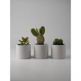 Kaju Creative Mini Sukulent Saksısı – Dekoratif Beton Saksı – – 7x7 cm | 3'lü Set ve Tekli - Gri