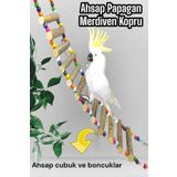Kakadu Papagan Ahsap Merdiven 50 Cm Kopru