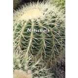 Kakteen Notizbuch Sukkulenten Fotoalbum Kaktus Zeichenbuch Agaven Skizzenbuch Zimmerpflanzen Kaktusarten Pflanzenpflege Geschenkbuch Kaktusblüten ... Bullet Journal Euphorbia Tagebuch A01A