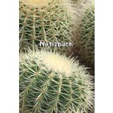 Kakteen Notizbuch Sukkulenten Fotoalbum Kaktus Zeichenbuch Agaven Skizzenbuch Zimmerpflanzen Kaktusarten Pflanzenpflege Geschenkbuch Kaktusblüten ... Bullet Journal Euphorbia Tagebuch A04A