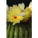 Kakteen Notizbuch Sukkulenten Fotoalbum Kaktus Zeichenbuch Agaven Skizzenbuch Zimmerpflanzen Kaktusarten Pflanzenpflege Geschenkbuch Kaktusblüten ... Bullet Journal Euphorbia Tagebuch A07A