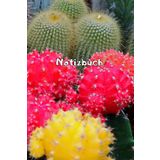 Kakteen Notizbuch Sukkulenten Fotoalbum Kaktus Zeichenbuch Agaven Skizzenbuch Zimmerpflanzen Kaktusarten Pflanzenpflege Geschenkbuch Kaktusblüten ... Bullet Journal Euphorbia Tagebuch A13A