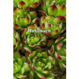 Kakteen Notizbuch Sukkulenten Fotoalbum Kaktus Zeichenbuch Agaven Skizzenbuch Zimmerpflanzen Kaktusarten Pflanzenpflege Geschenkbuch Kaktusblüten ... Bullet Journal Euphorbia Tagebuch A23A
