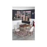 Kaktüs Avm 4 Kişilik Sabit Masa Sandalye Takımı 70X110 cm Mutfak Masası Takımı Yemek Masası Masa Takımı - Bej - 70 x 110 cm