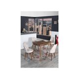 Kaktüs Avm 4 Kişilik Sabit Masa Sandalye Takımı Mutfak Masası 70X110 Masa Takımı - Bej