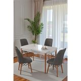 Kaktüs Avm 70X110 cm Mutfak Masası Takımı | 4 Kişilik Sabit Masa Sandalye Takımı | Yemek Masası | Masa Takımı - Beyaz Masa - Antrasit - Beyaz - Antrasit