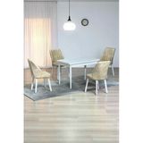 Kaktüs Avm ARVEN Beyaz MDF 70x110 Sabit Mutfak Masası Takımı Beyaz Metal Ayak 4 Krem Sandalye