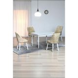 Kaktüs Avm Arven Beyaz Sunta 70X110 Sabit Mutfak Masası Takımı Beyaz Metal Ayak 4 Krem Sandalye - 70 x 110 cm