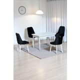 Kaktüs Avm Still Beyaz MDF 70x110 Sabit Mutfak Masası Takımı Beyaz Metal Ayak 4 Antrasit Sandalye