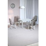 Kaktüs Avm Still Beyaz MDF 70x110 Sabit Mutfak Masası Takımı Beyaz Metal Ayak 4 Cappucino Sandalye