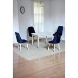 Kaktüs Avm Still Beyaz MDF 70x110 Sabit Mutfak Masası Takımı Beyaz Metal Ayak 4 Lacivert Sandalye