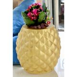 Kaktüs Saksı Dünyası El Yapımı Saksı Altın Premium Kalite Dekoratif Saksı Ananas