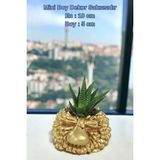 Kaktüs Saksı Dünyası El Yapımı Saksı Dekoratif Saksı Küçük Boy Model 6 - Altın