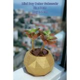 Kaktüs Saksı Dünyası El Yapımı Saksı Dekoratif Saksı Küçük Boy Model 8 - Altın
