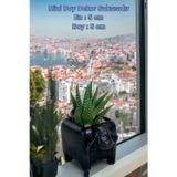 Kaktüs Saksı Dünyası El Yapımı Saksı Gümüş Eskitme Dekoratif Saksı Küçük Boy Model 24