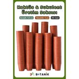 Kaktüs - Sukulent - Bitki Üretim Saksısı, 5,5 Cm, 250 Adet