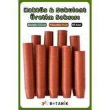 Kaktüs - Sukulent - Bitki Üretim Saksısı, 5,5 Cm, 50 Adet