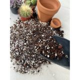 Kaktüs Toprağı 1 Litre Sukulent Aloe Vera Toprağı Özel Karışım Ithal Torf Pomza Perlit Vermikulit