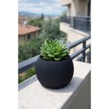 Kaktüs ve Çiçek Dekoratif Modern Mercan Saksı 0,70 Lt